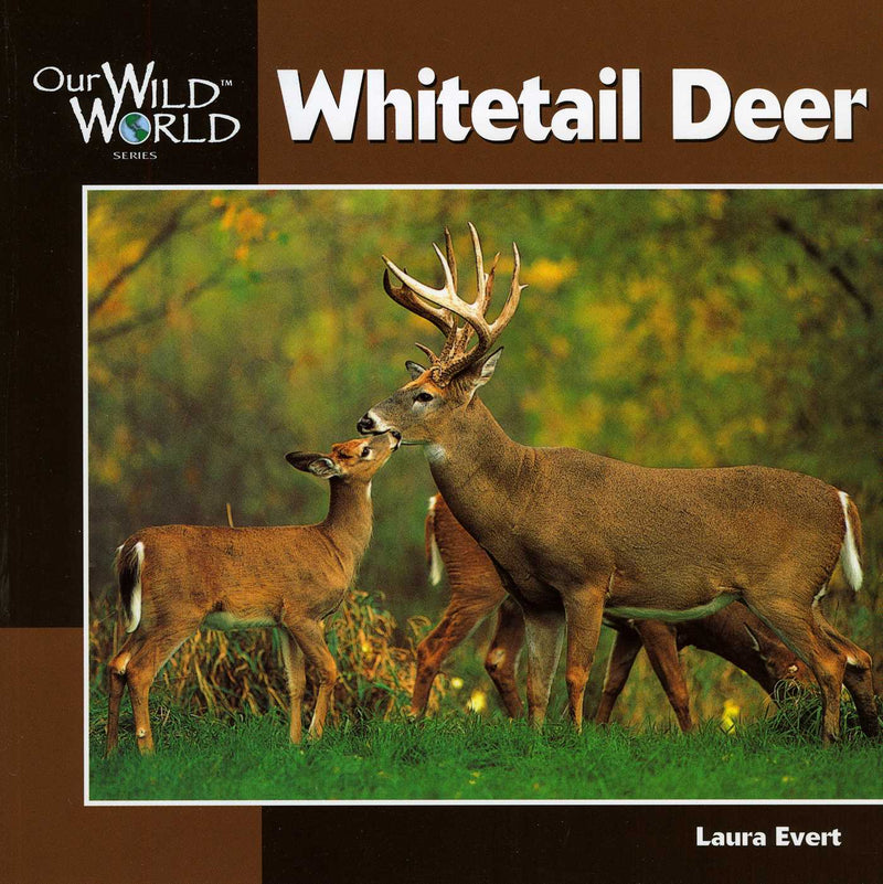 Our Wild World
