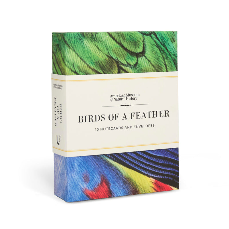 Birds of a Feather