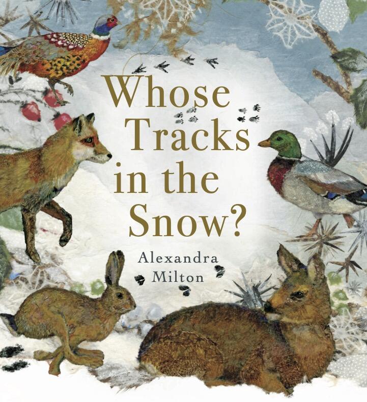Whose Tracks in the Snow?