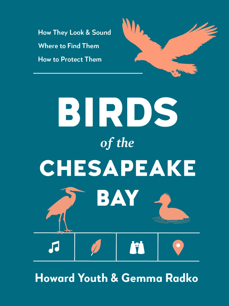 Birds of the Chesapeake Bay