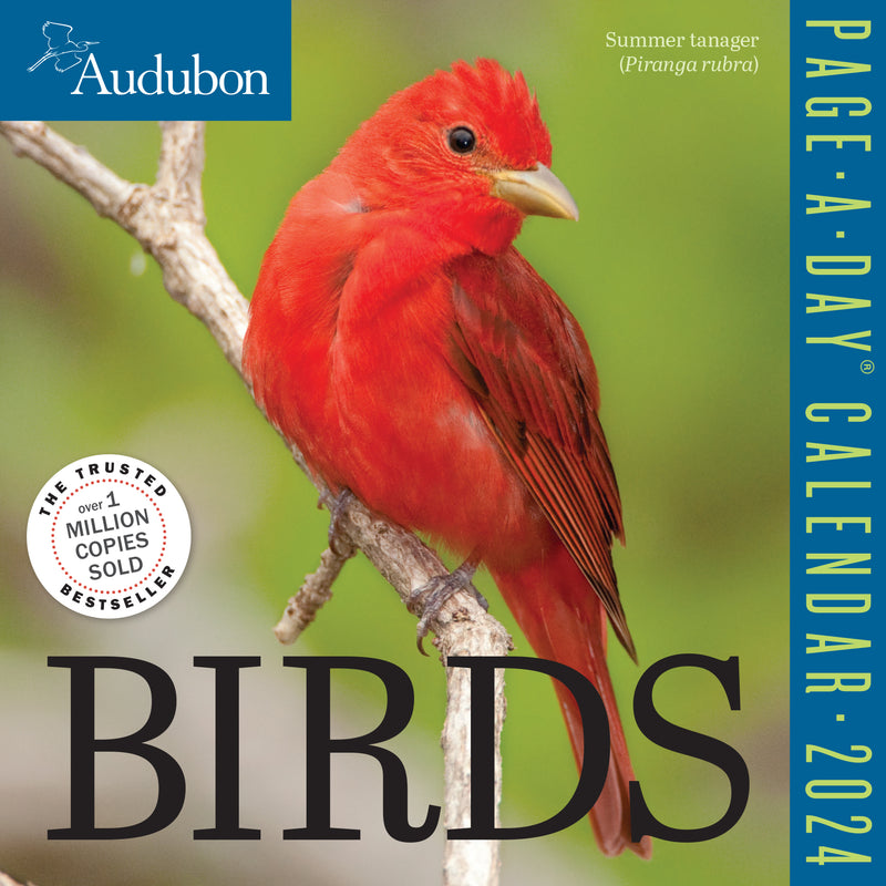 Audubon Birds Page-A-Day Calendar 2024
