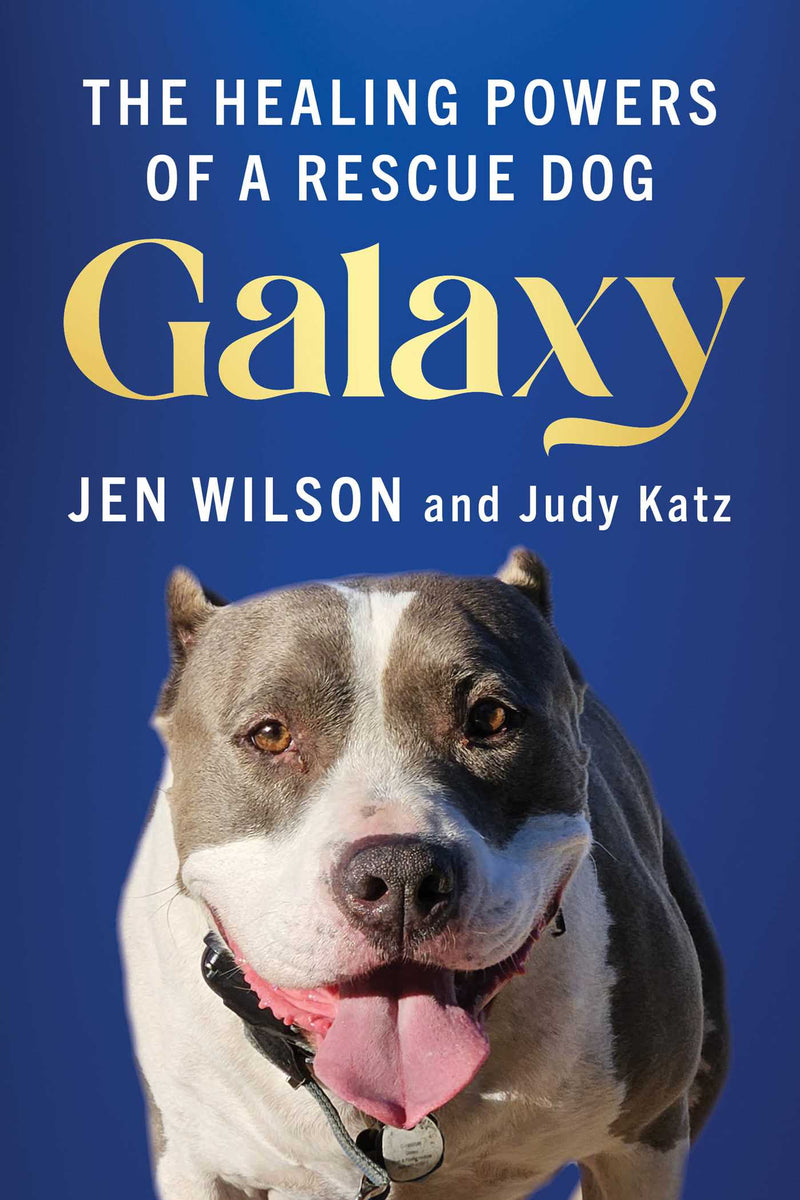 The Galaxy