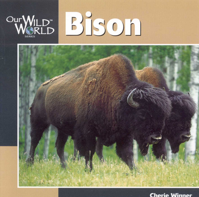 Our Wild World