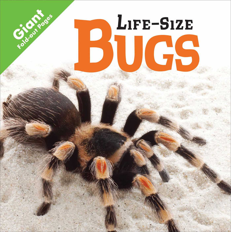 Bugs
