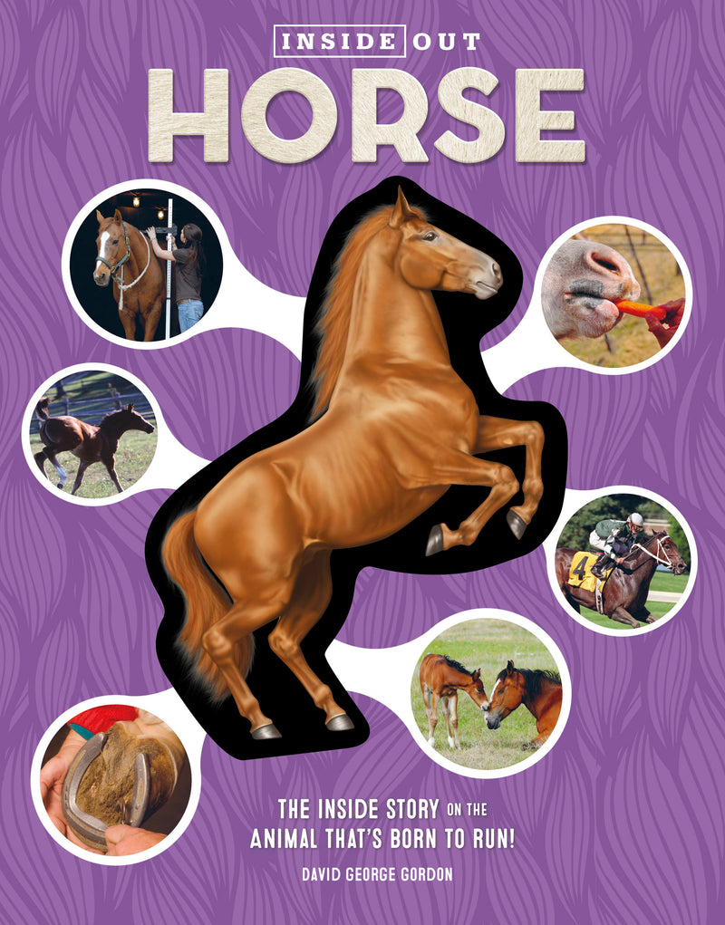 Inside Out Horse