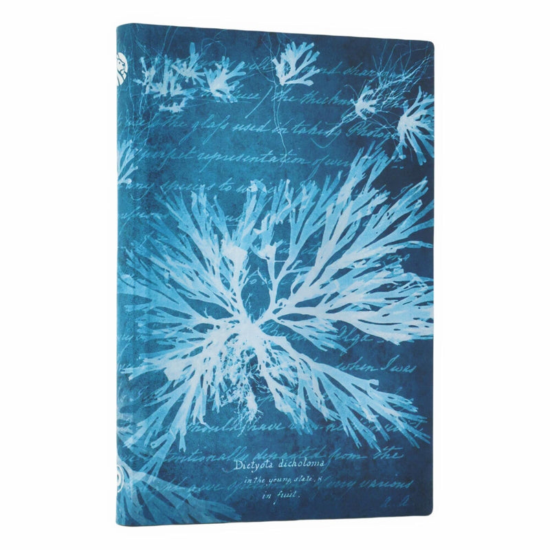 Sea Flowers Mini Lined Softcover Journal, 208pg, 80GSM, Treasures of The New York Public Library by Paperblanks (Anna Atkins' Cyanotypes)