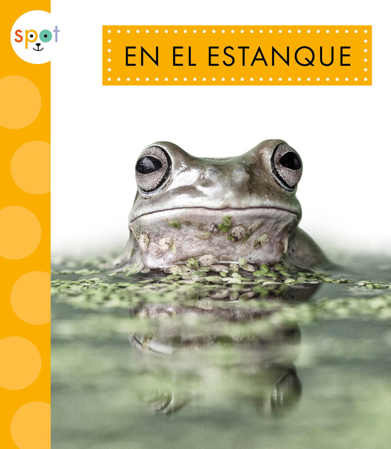 En el estanque