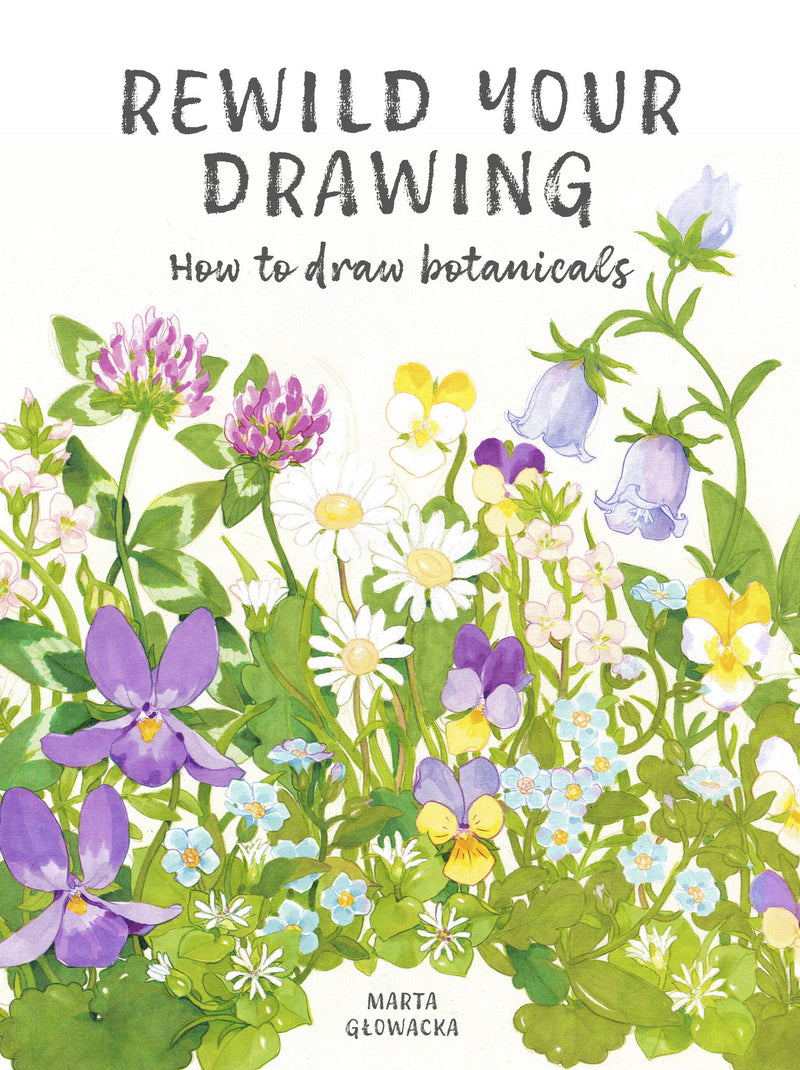Rewild Your Drawing