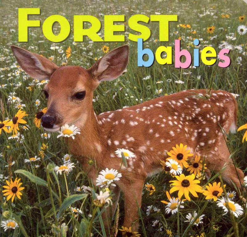 Animal Babies