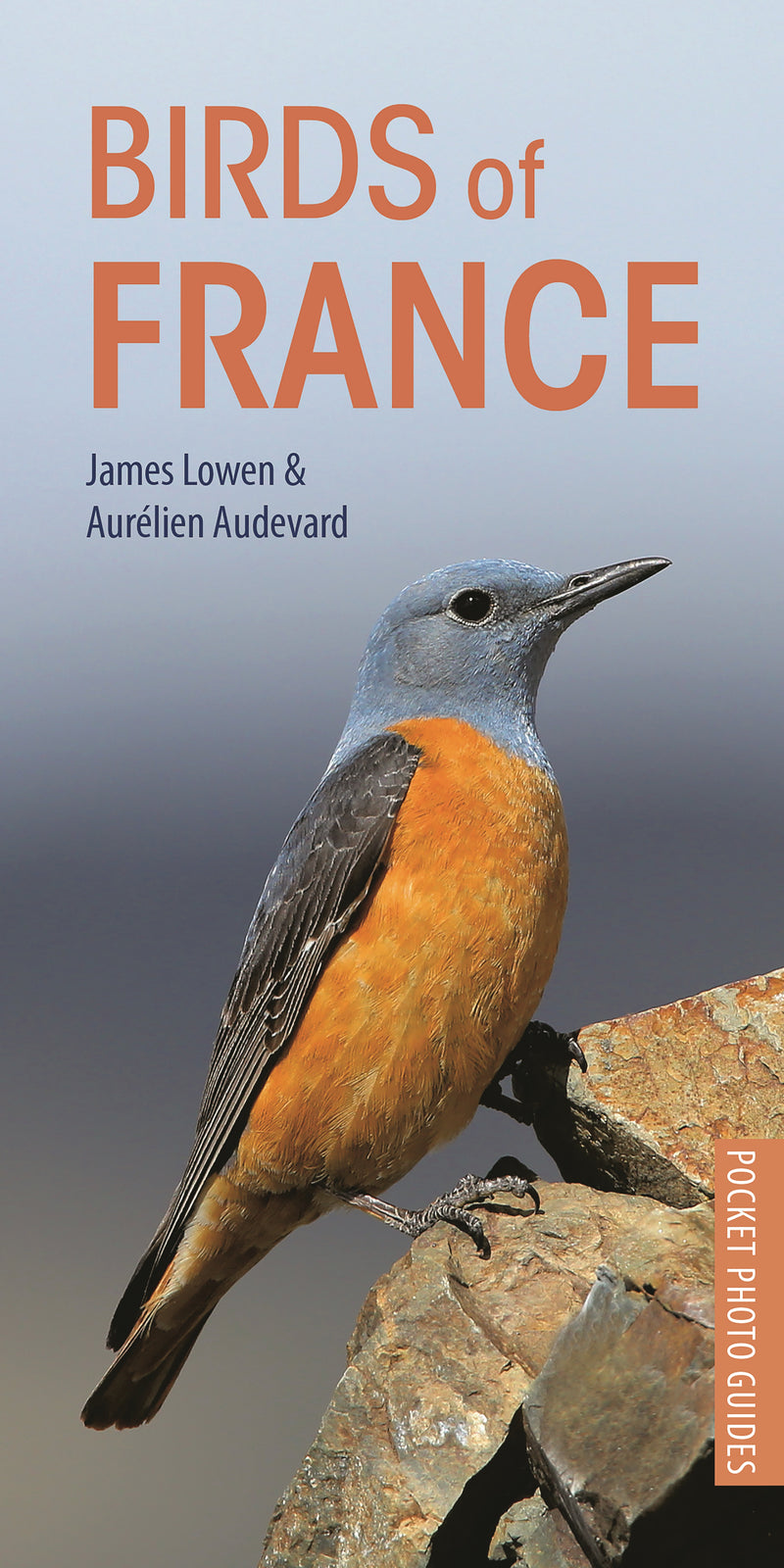 Birds of France