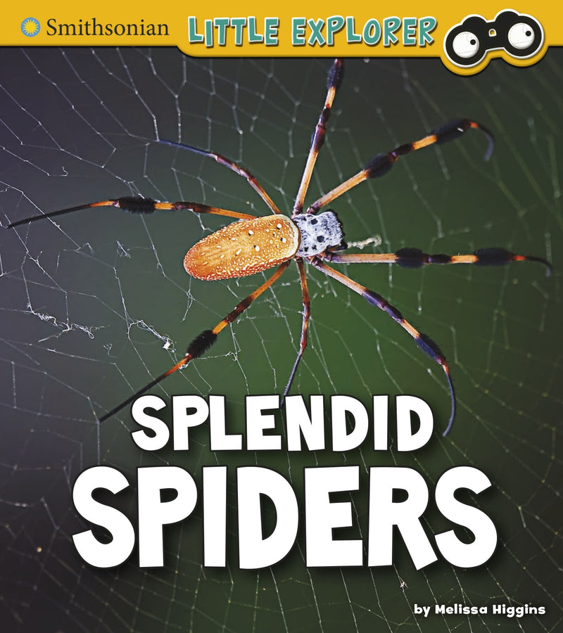 Splendid Spiders