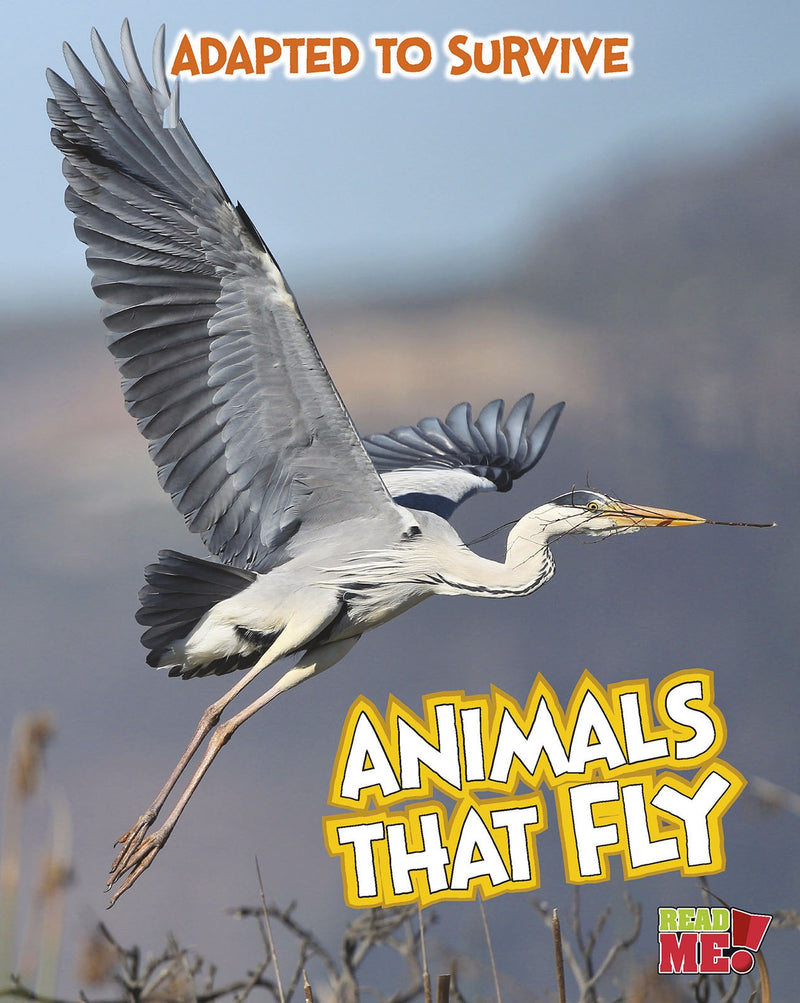 Adapted to Survive: Animals that Fly