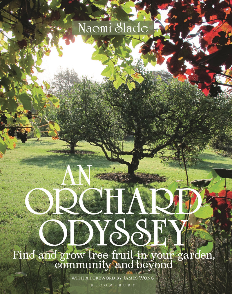 An Orchard Odyssey