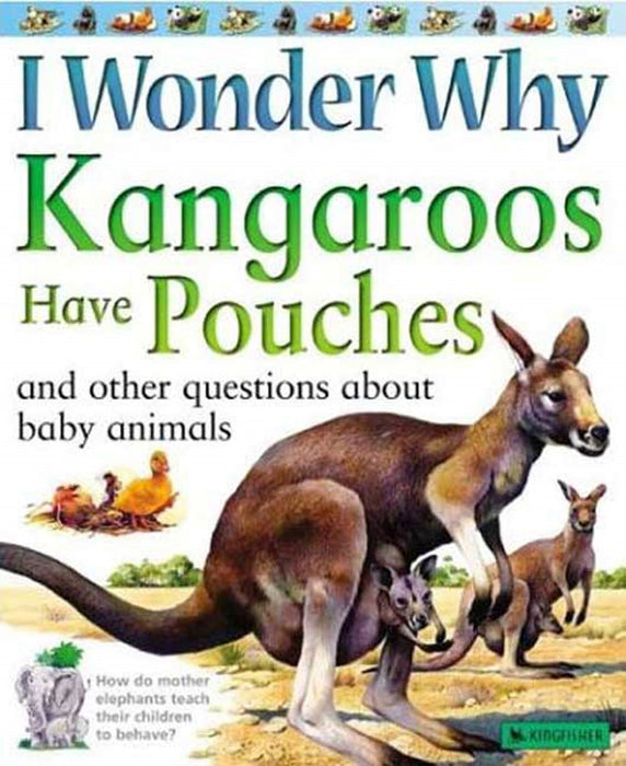 I Wonder Why Kangaroos Have Pouches