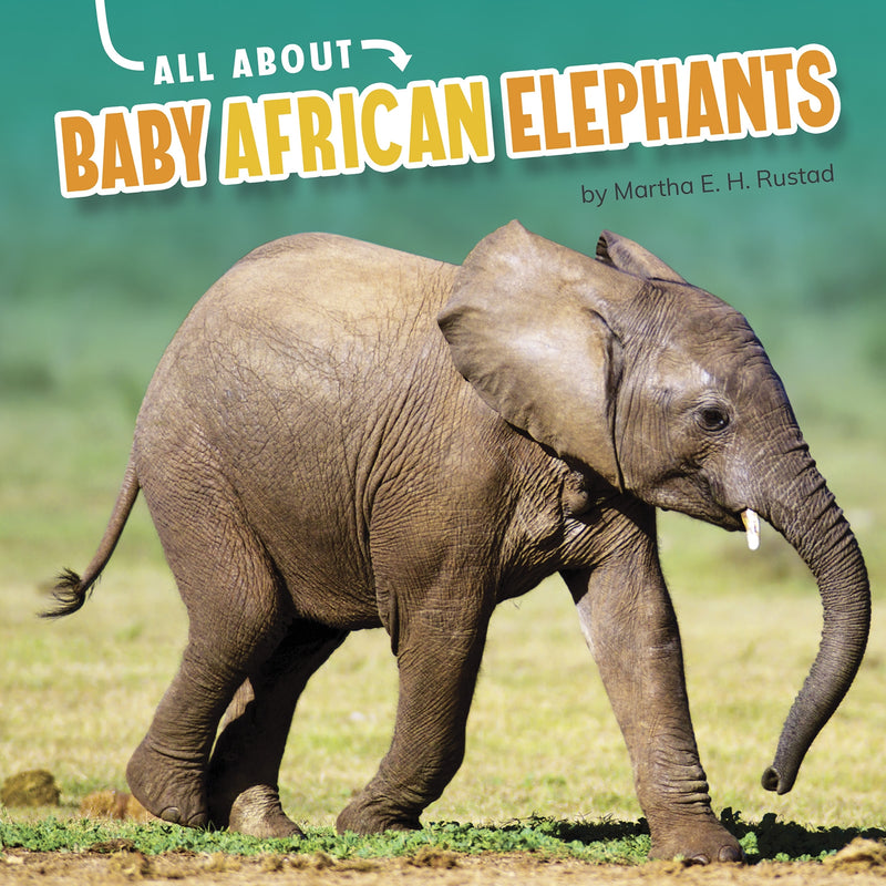 All About Baby African Elephants