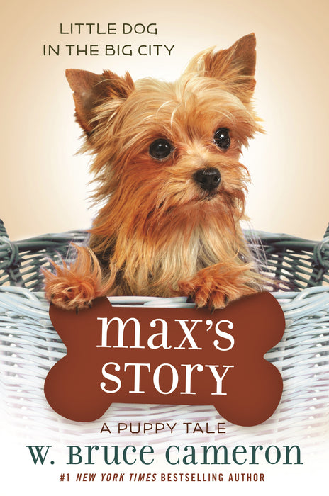 Max's Story