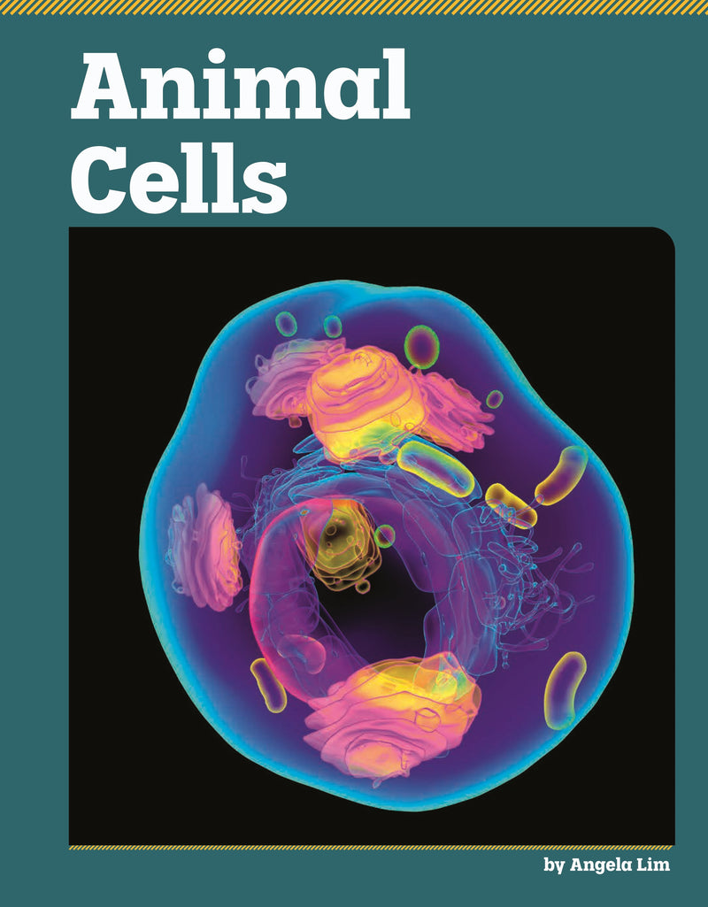 Animal Cells