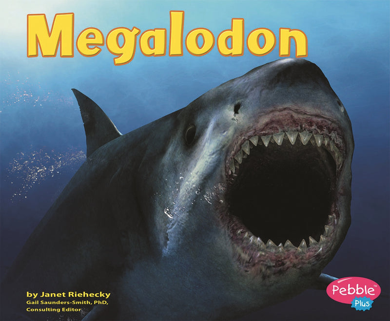 Megalodon