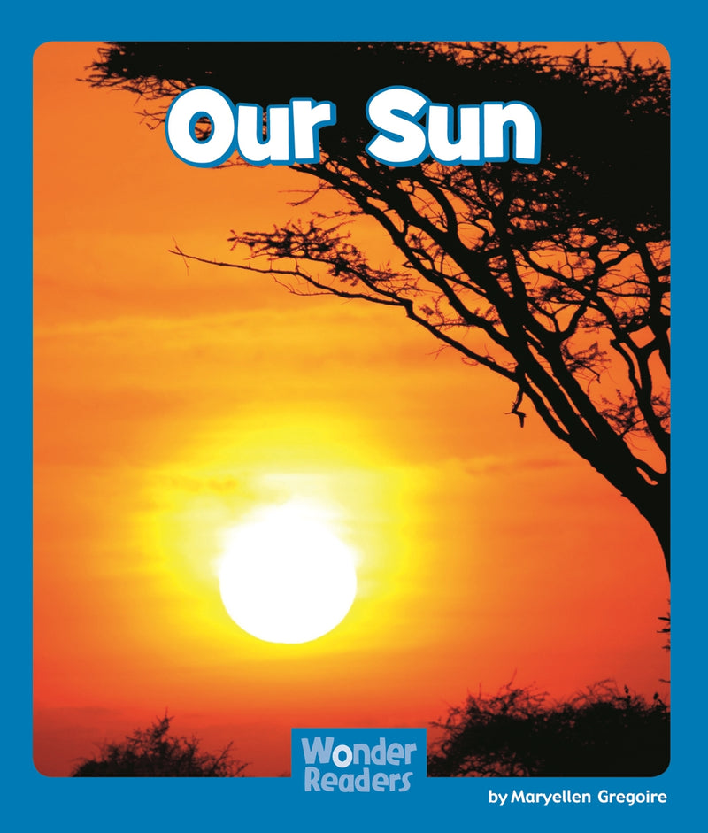 Our Sun