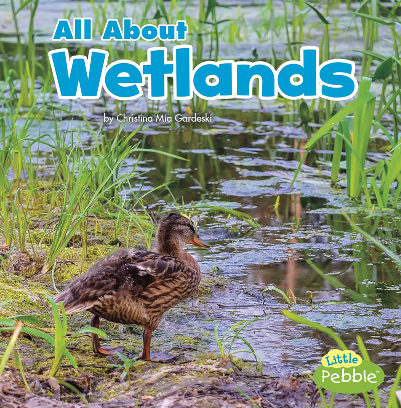 All About Wetlands