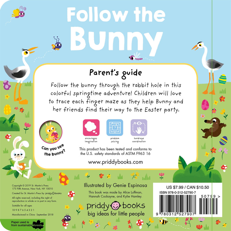 Maze Book: Follow the Bunny