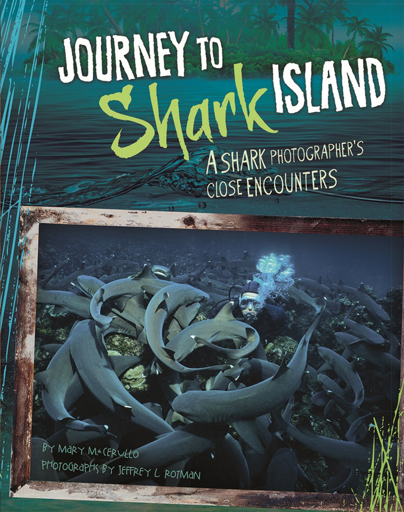 Journey to Shark Island: A Shark Photographer's Close Encounters