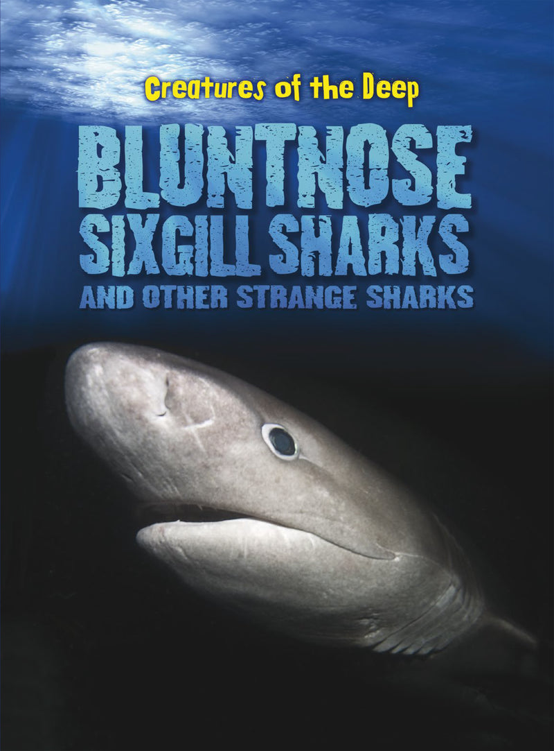 Bluntnose Sixgill Sharks and Other Strange Sharks