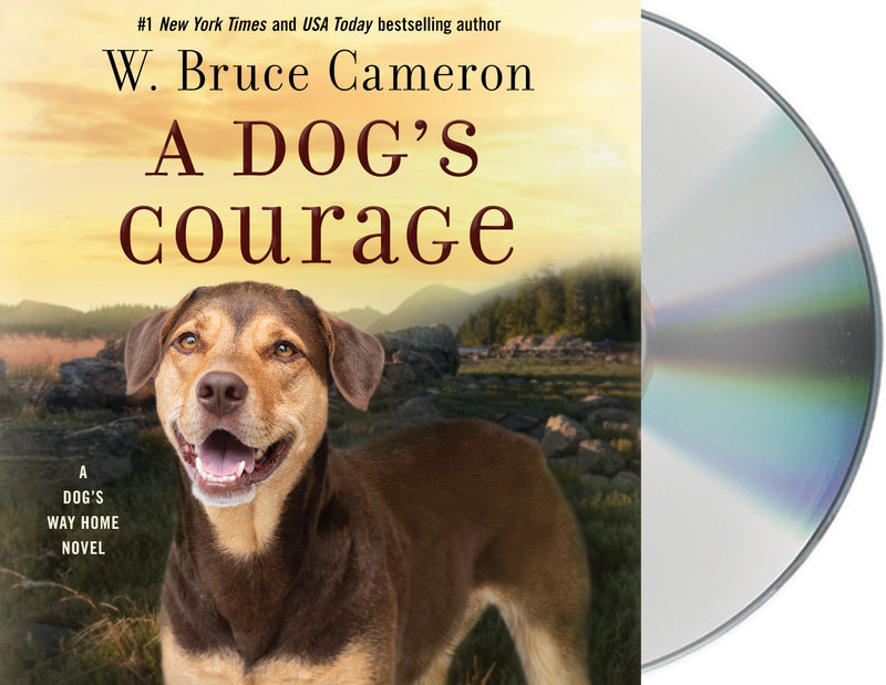 A Dog's Courage