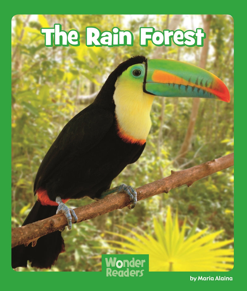 The Rain Forest