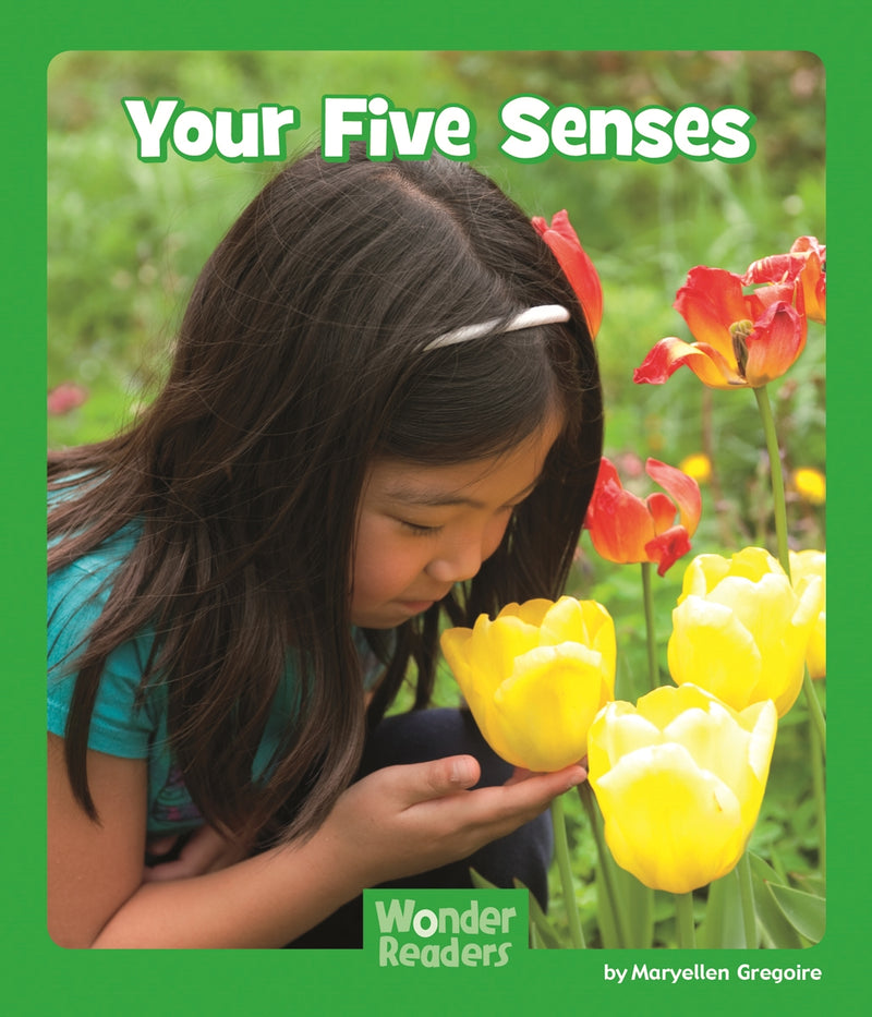Your Five Senses
