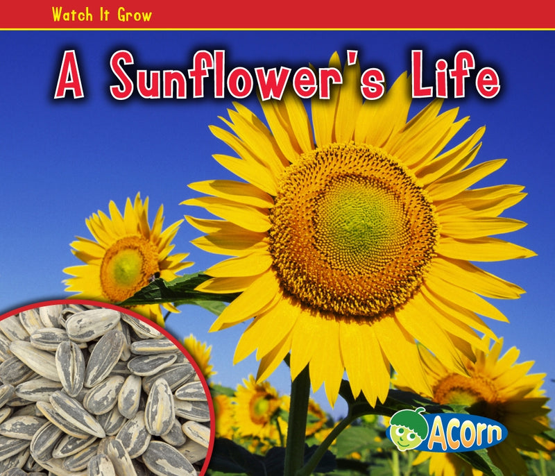 A Sunflower's Life