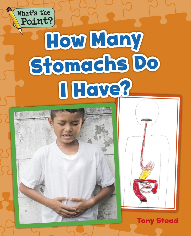 How Many Stomachs Do I Have?