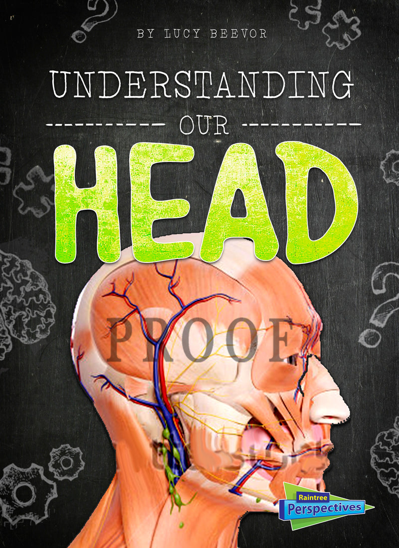 Understanding Our Head