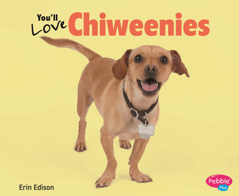 You'll Love Chiweenies