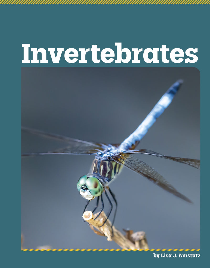 Invertebrates