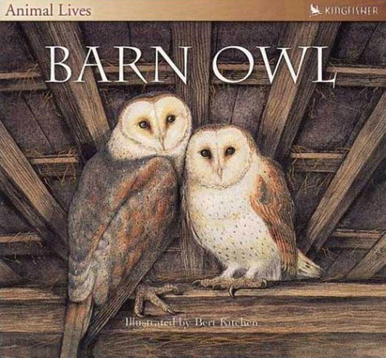 The Barn Owl