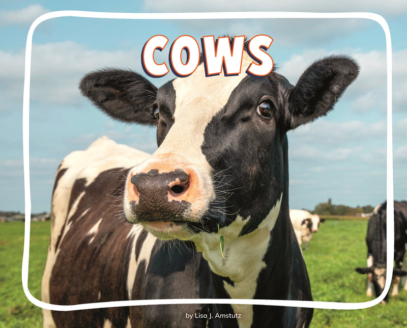 Cows