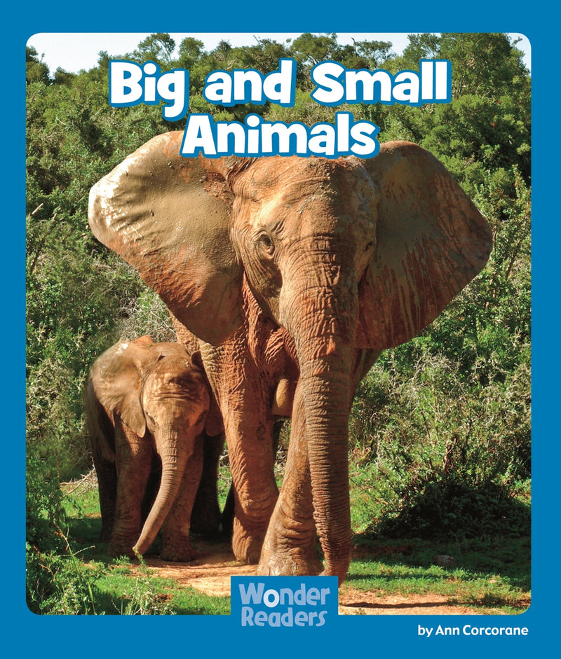 Big and Small Animals