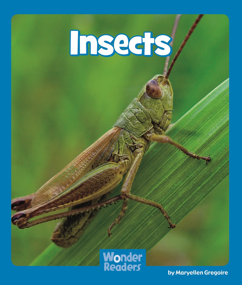 Insects