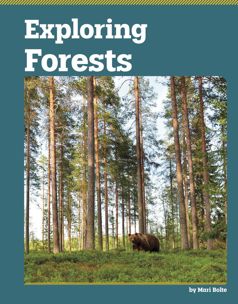 Exploring Forests