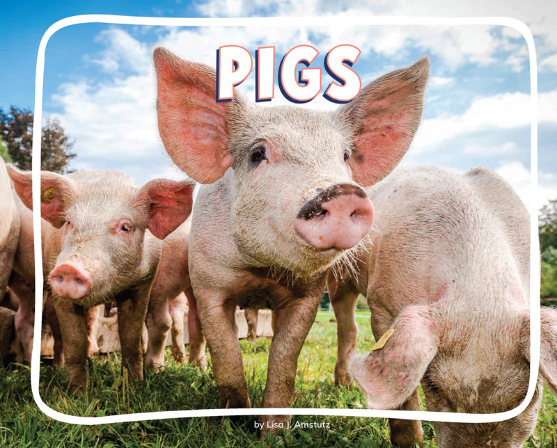 Pigs
