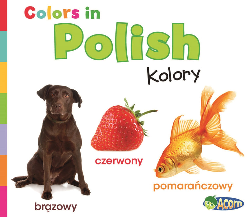 Colors in Polish: Kolory