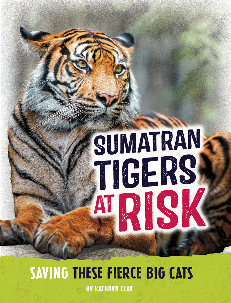Sumatran Tigers at Risk: Saving These Fierce Big Cats