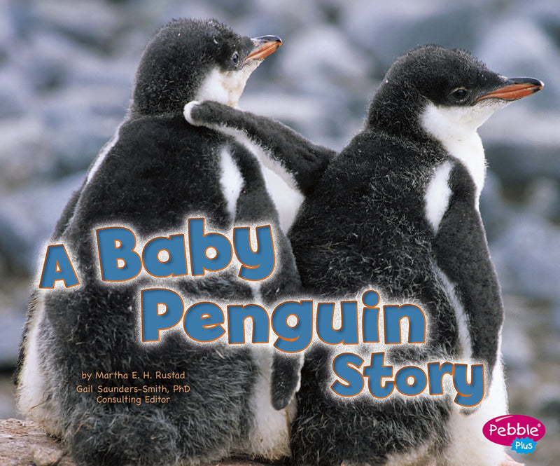 A Baby Penguin Story