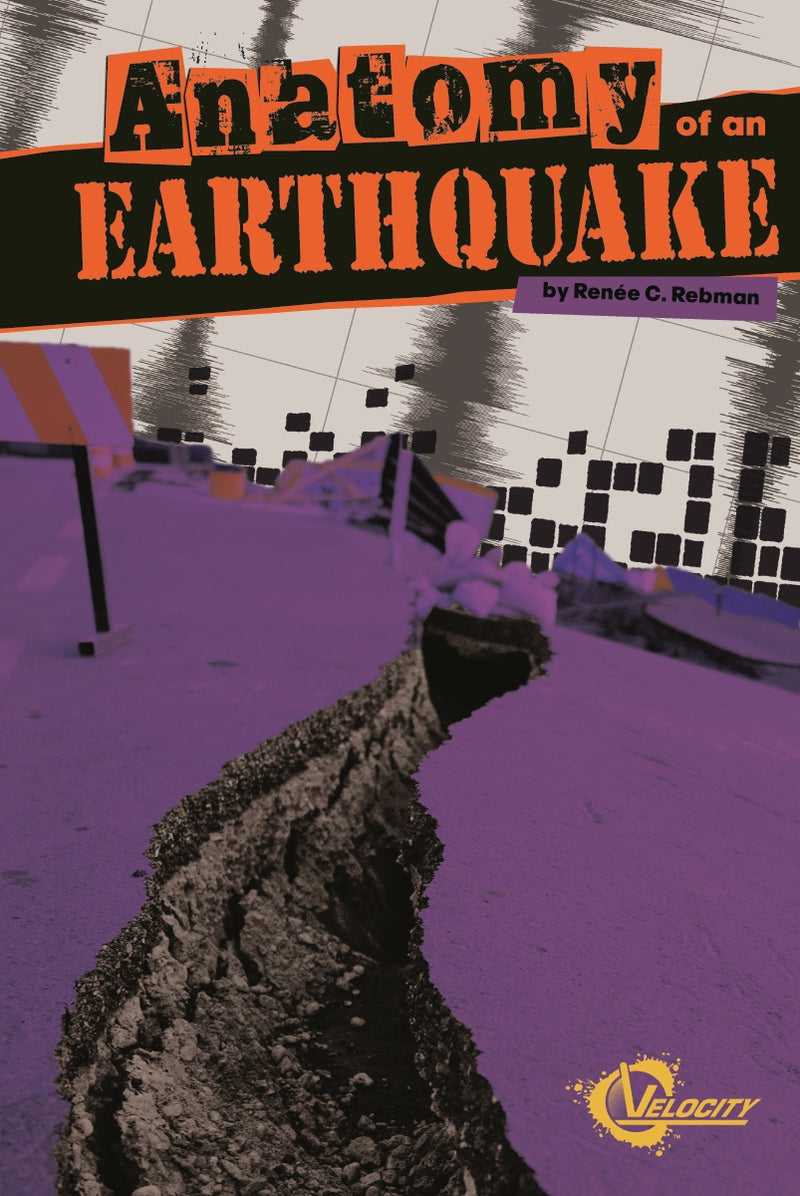 Anatomy of an Earthquake