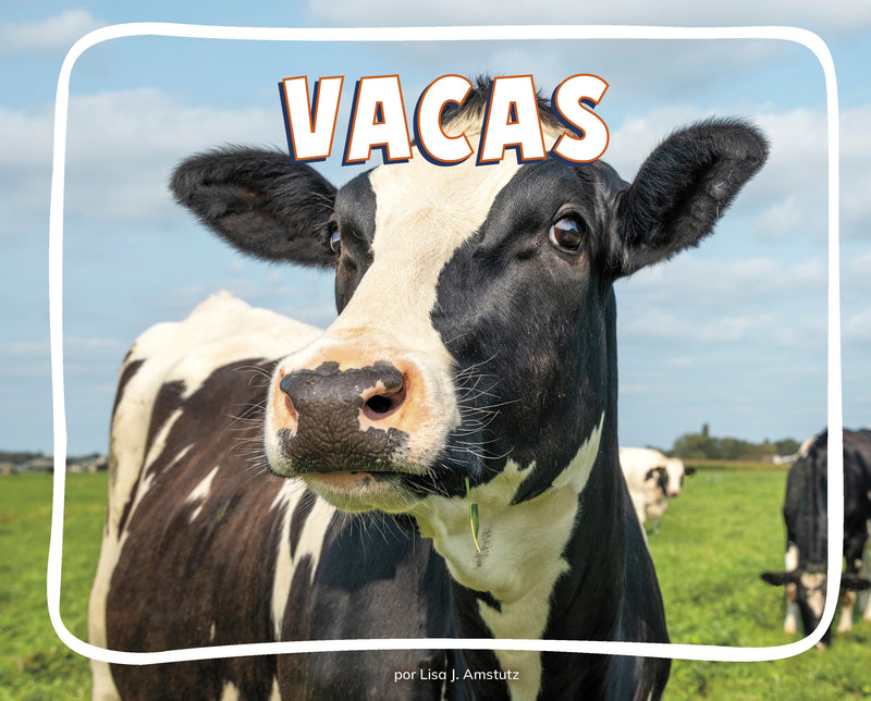 Vacas (Cows)