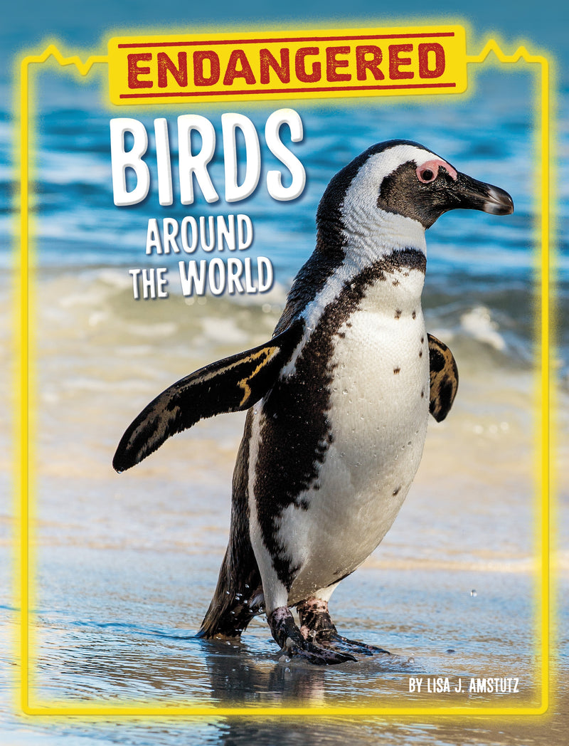 Endangered Birds Around the World