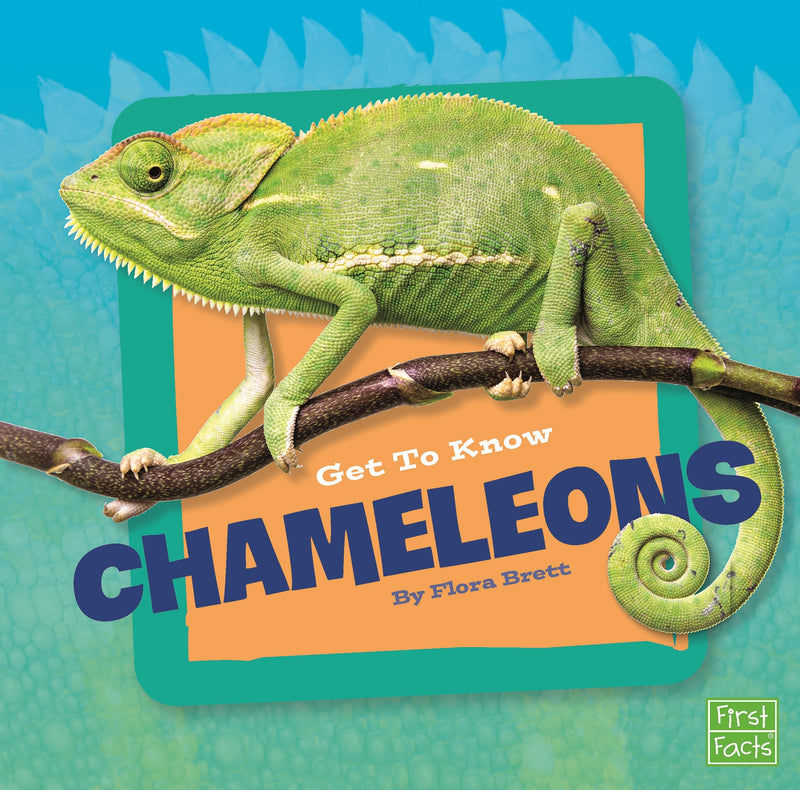 Get to Know Chameleons
