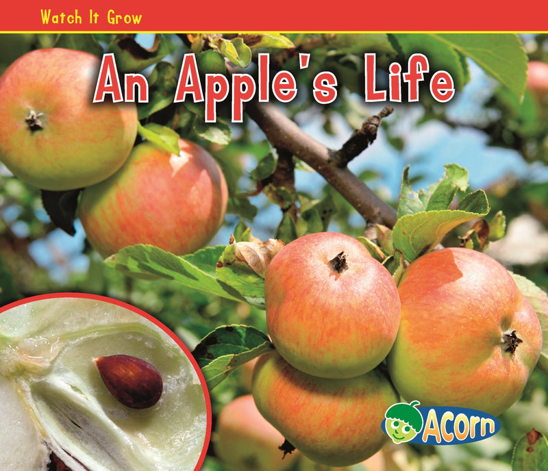 An Apple's Life