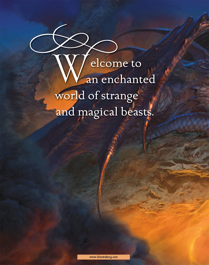 Magnificent Magical Beasts